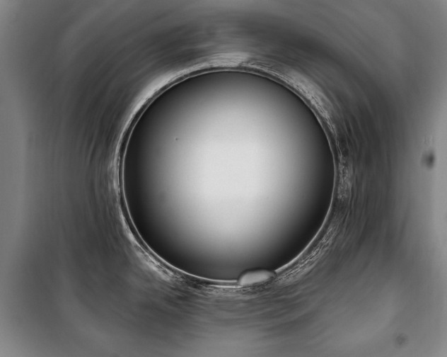 X0000101181342200806271243