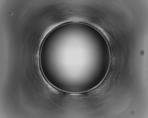 X0000101181343200806271243