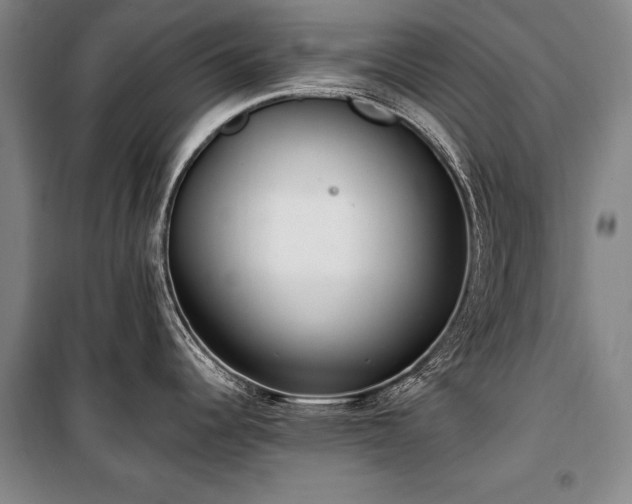 X0000101181344200806271243
