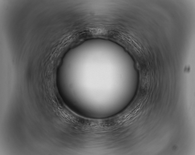 X0000101181345200806271242