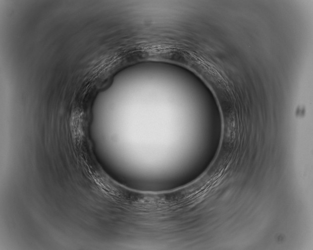 X0000101181346200806271242