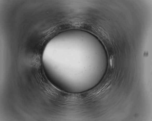 X0000101181347200806271242