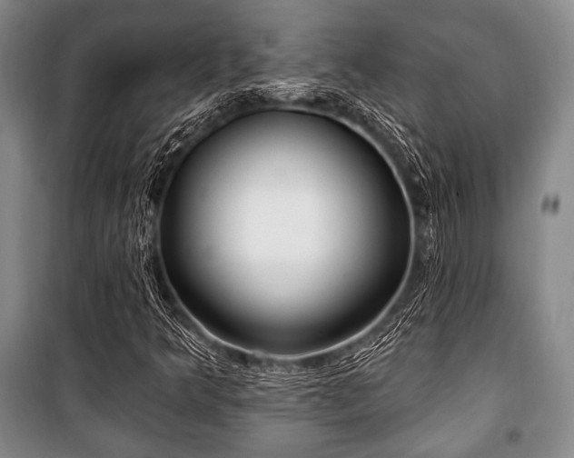 X0000101181349200806271242