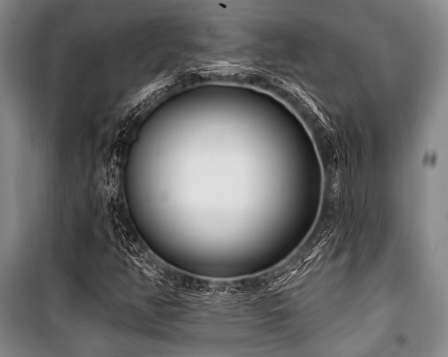 X0000101181350200806271242
