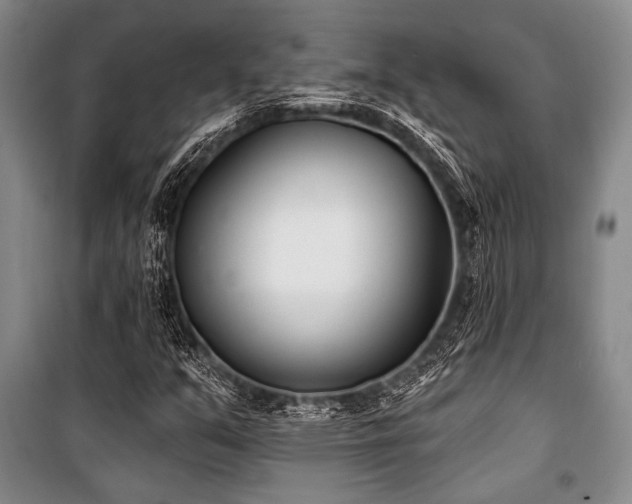 X0000101181351200806271242