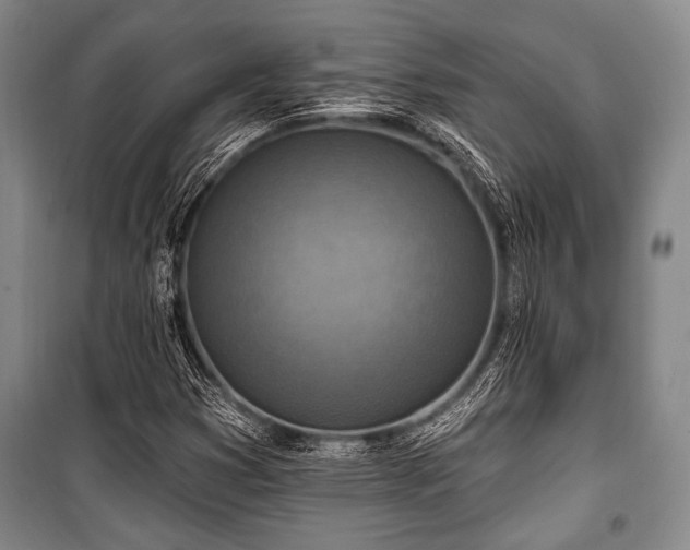 X0000101181353200806271242