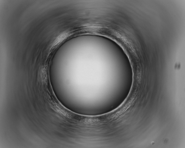 X0000101181354200806271242