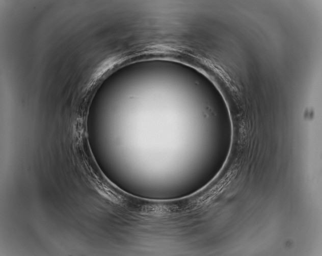 X0000101181355200806271242