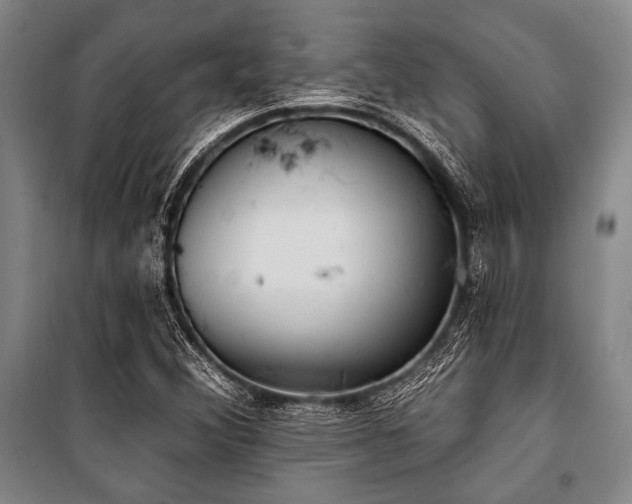 X0000101181356200806271242