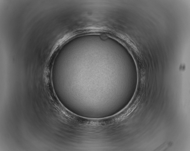 X0000101181357200806271242