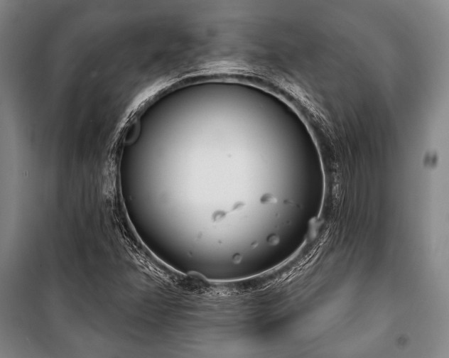 X0000101181358200806271242