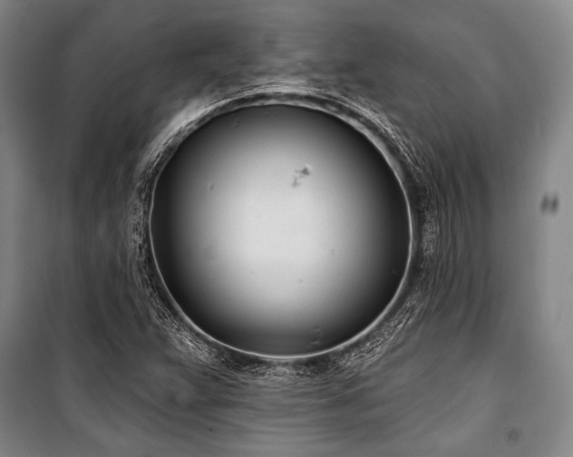 X0000101181359200806271242