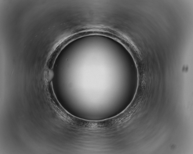 X0000101181360200806271242