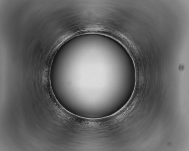 X0000101181361200806271242