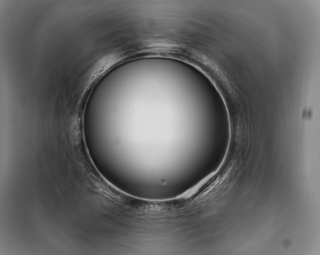 X0000101181362200806271242