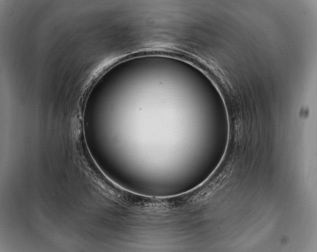 X0000101181363200806271242