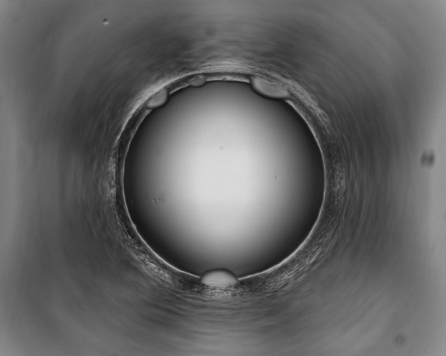 X0000101181364200806271242
