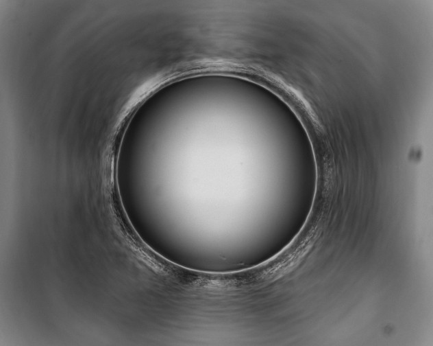 X0000101181365200806271242