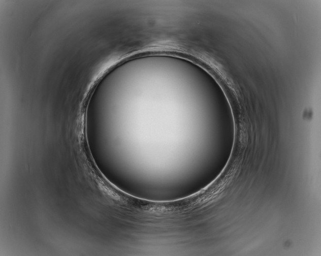 X0000101181366200806271242
