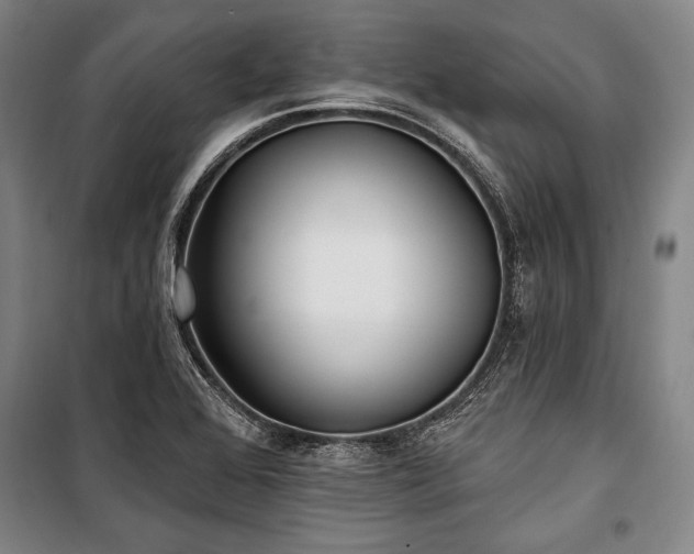 X0000101181368200806271242
