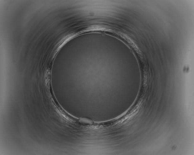 X0000101181369200806271242