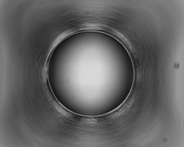 X0000101181370200806271242