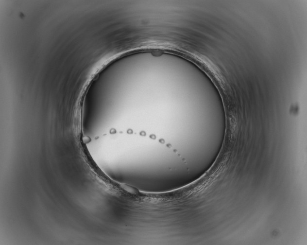 X0000101181371200806271242
