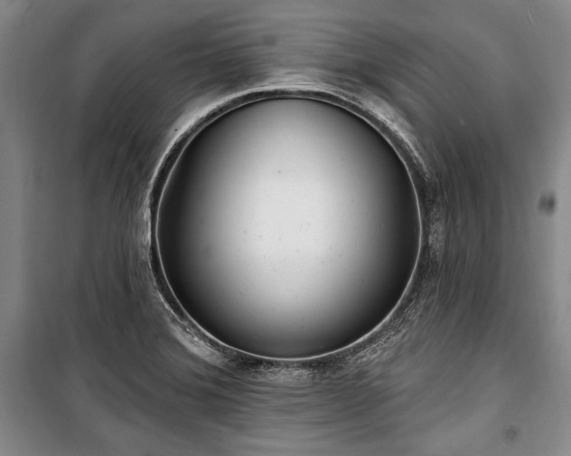 X0000101181372200806271242