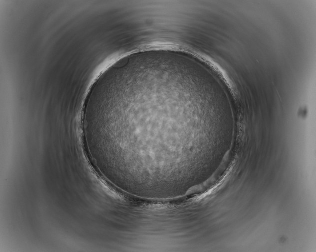 X0000101181373200806271242