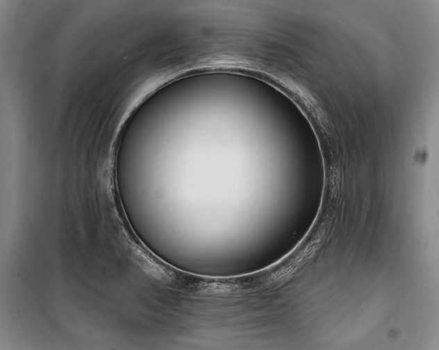 X0000101181374200806271241