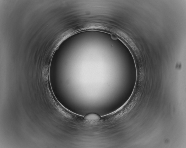 X0000101181377200806271241
