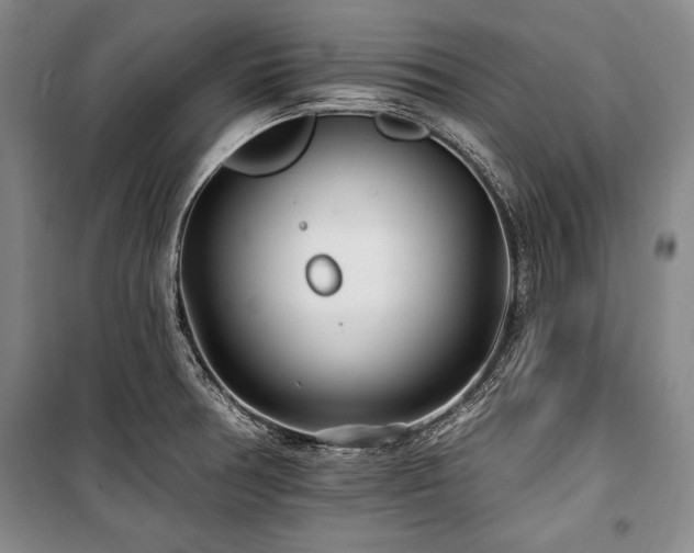 X0000101181378200806271241
