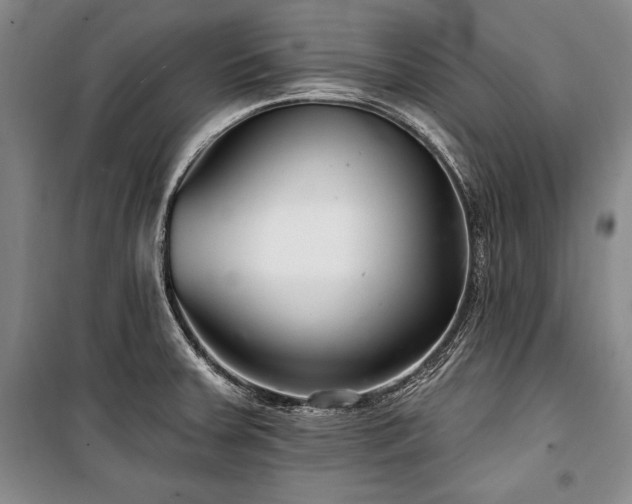 X0000101181379200806271241
