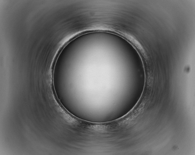 X0000101181380200806271241