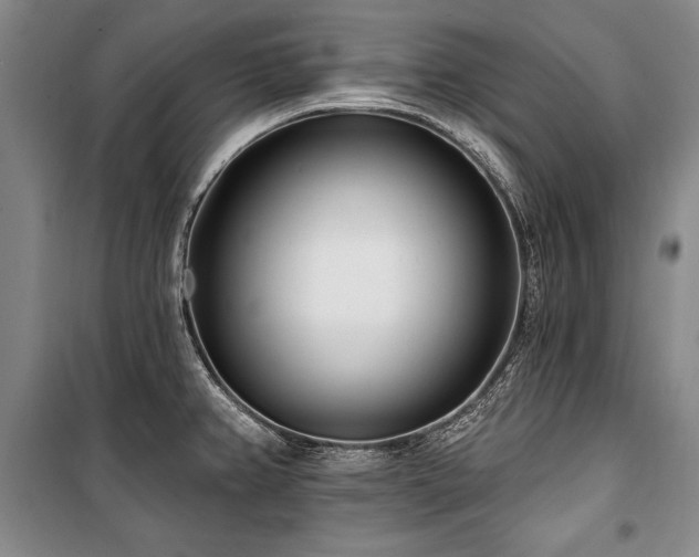 X0000101181382200806271241