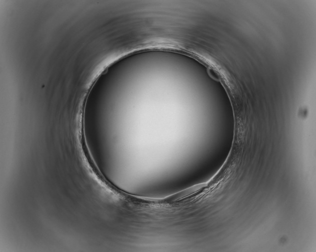X0000101181383200806271241