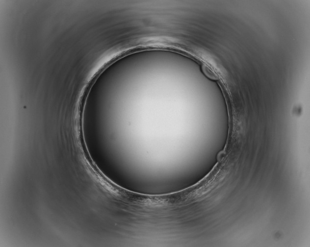 X0000101181384200806271241