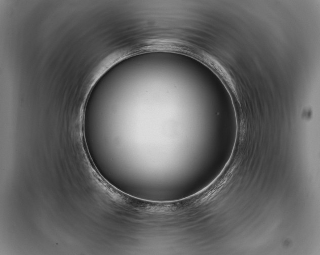 X0000101181386200806271241