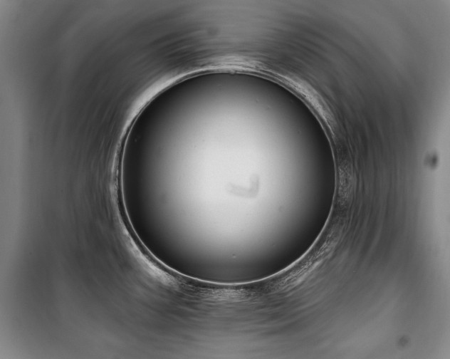 X0000101181387200806271241