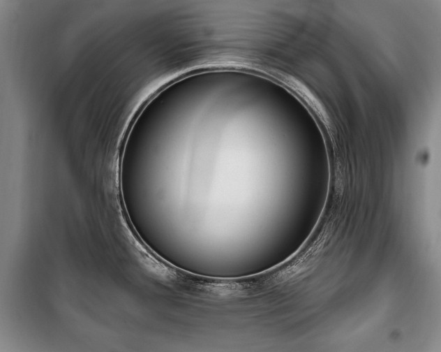 X0000101181388200806271241