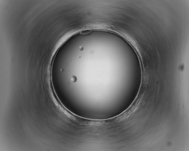 X0000101181389200806271241
