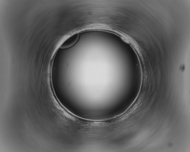 X0000101181390200806271241