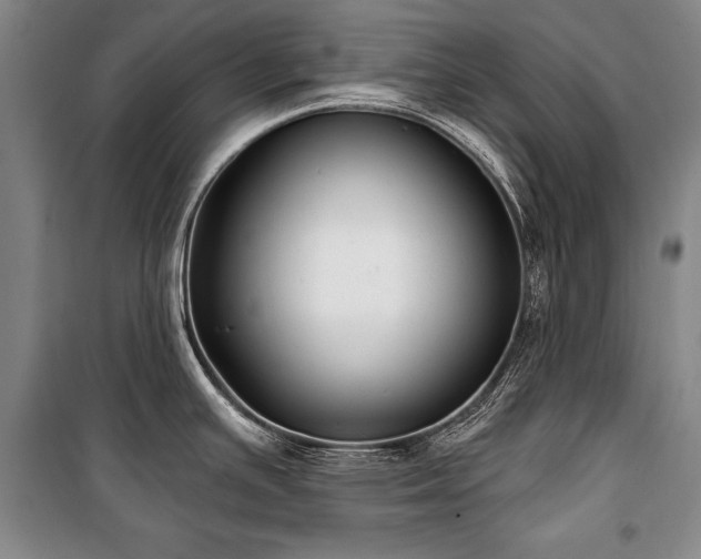 X0000101181391200806271241