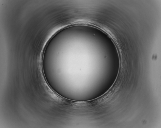 X0000101181392200806271241