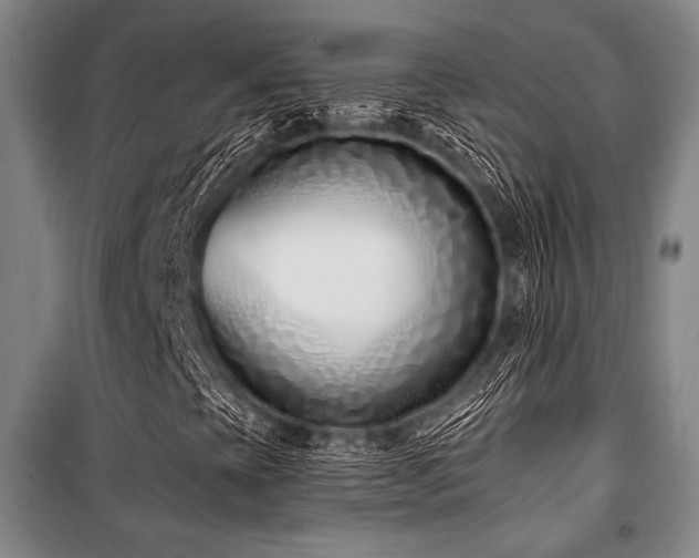 X0000101181393200806271241