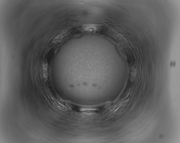 X0000101181394200806271241