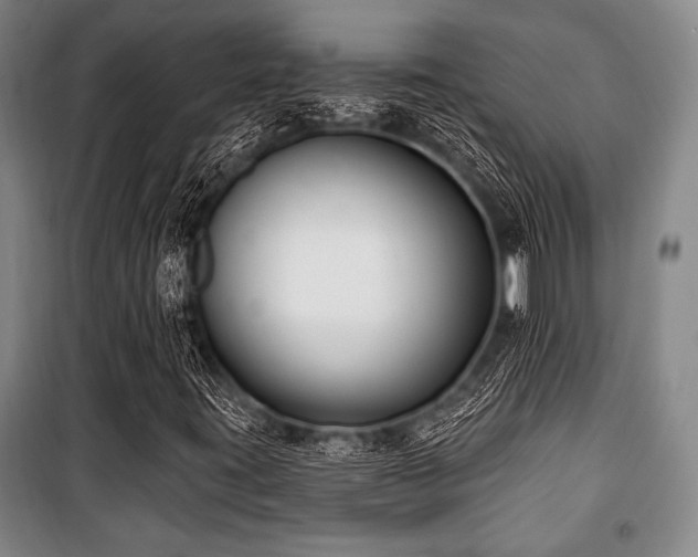 X0000101181395200806271241