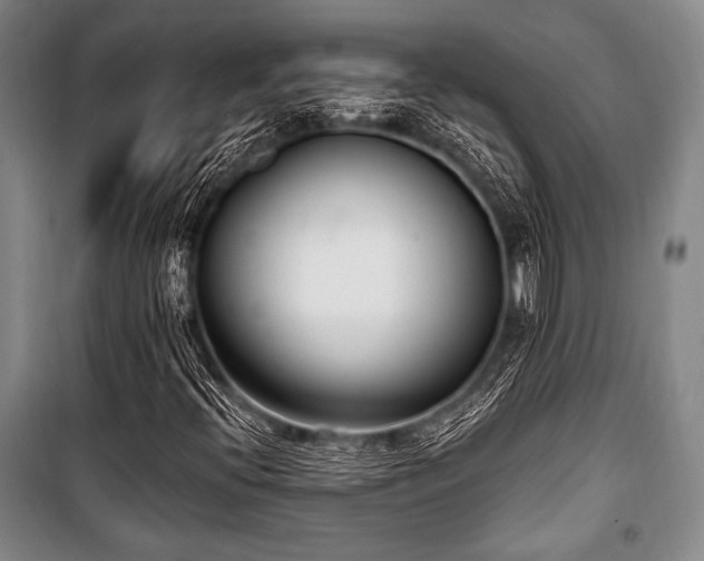 X0000101181396200806271241