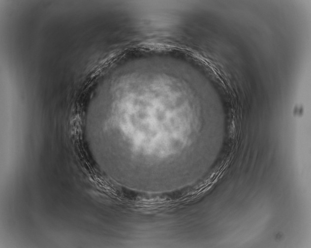 X0000101181397200806271241