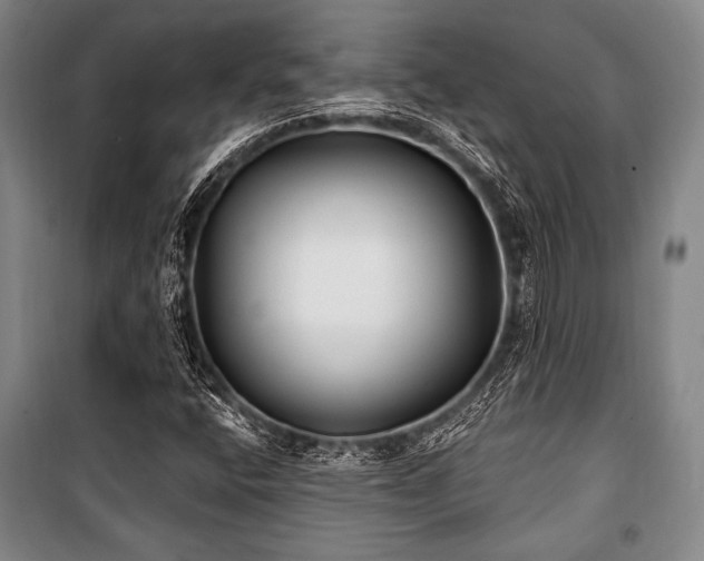 X0000101181400200806271241